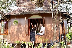 Coutinhos Tree House, Goa