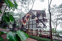 Wayanad Vista Palm View Homes, Wayanad