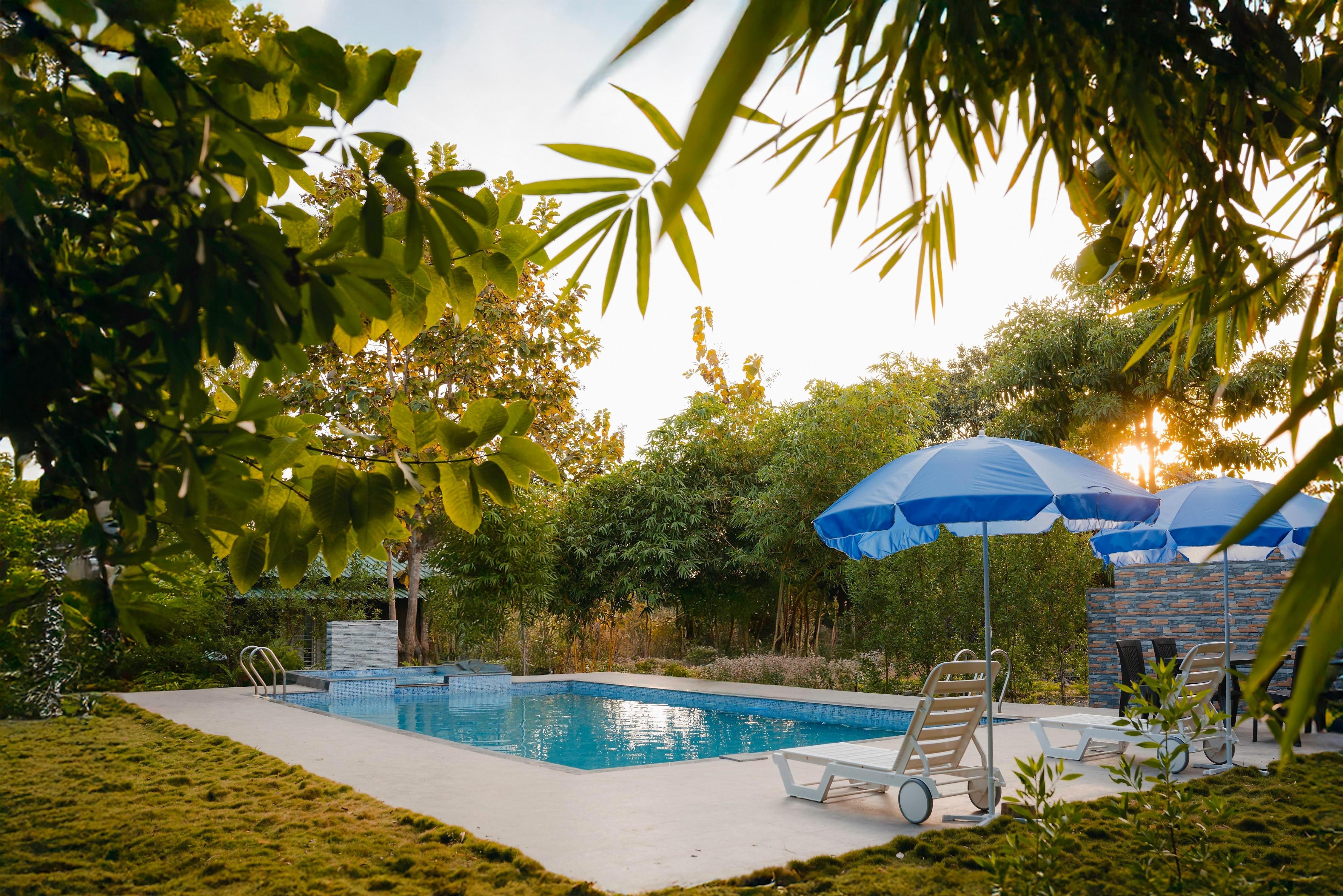 Wagharanya Resort - Tap to explore photos