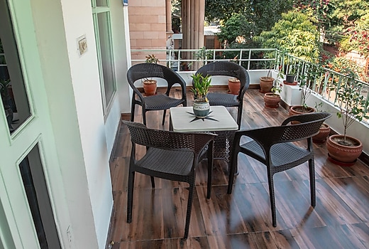 Ferozi House x Free Birds