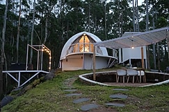 Vattavada Cox Cargill, Munnar