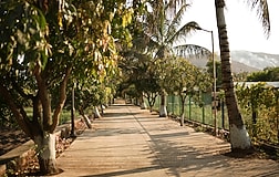 Outdoors