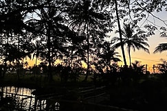 The Hidden Hearth, Mysore