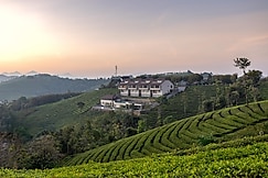 Elysian Vale  II  Best Luxury Resort in Vagamon, Vagamon