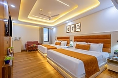 Hotel Urban Lion - Delhi Airport, Delhi