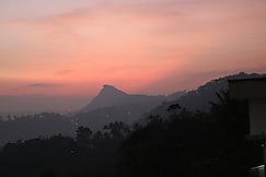 Asprin Homes, Munnar