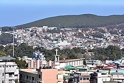 Elysian Home Food & Stay, Shillong