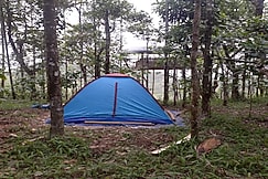 Pepper Mist Wayanad Homestay, Wayanad