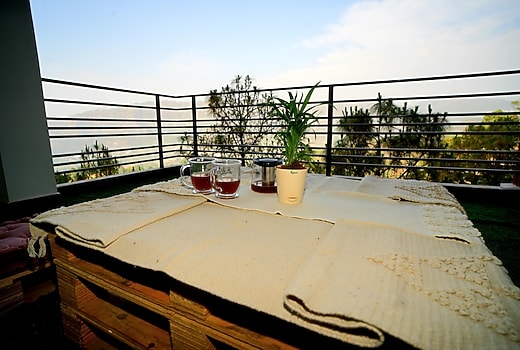 Lotus House By Bloom n Blossoms