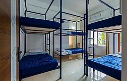 Dormitory Beds
