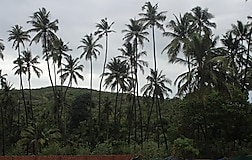 Outdoors