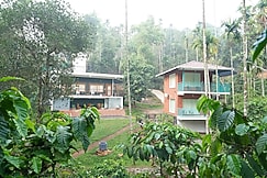 Cindrella resort, Wayanad