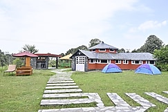 THE WILD PLANET, Palampur