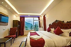 Hotel Snow World, Manali
