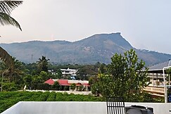 Vadath Foggy Mist, Munnar