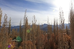 Spalchen House, Leh