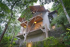 Alaya Stays Panchavadi | Tree House and Forest Room, Thekkady