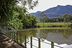 CURE MONASTERY FAMILY RESORT, Marayoor
