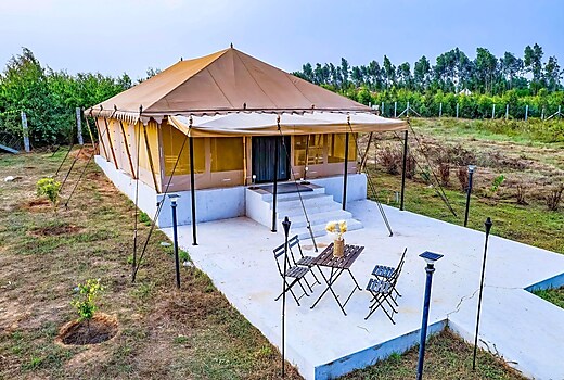 African Safari 1BHK Tent @SerenityRetreat SF