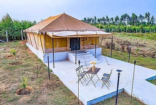 African Safari 1BHK Tent @SerenityRetreat SF