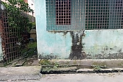 FOXJIA Private House, Berhampur-West Bengal