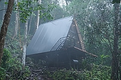 Munnar Monkeys Paw Cottage, Munnar