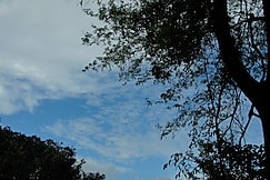 Riparian Inn Resort, Talipparamba