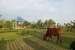Nili Farmhouse, Shantiniketan