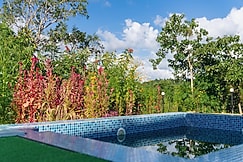 Serene Catherine, Dharmanagar