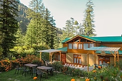 Shasha - Paused Perfect, Jibhi