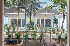 Agonda Brown Sand, Goa