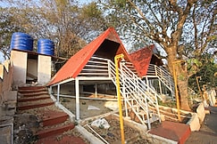 Hill forest Yelagiri, Yelagiri