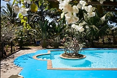 Jamboree Creek Resort, Goa