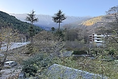 The Jobless Inn   - 2BHK Stay in Manali  Himachal, Manali