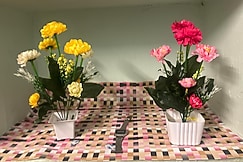 Lara home stay Hyderabad 1bhk, Hyderabad