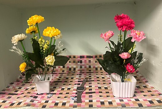 Lara home stay Hyderabad 1bhk