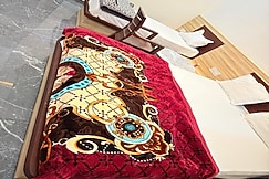 Radhe kriahna hotel & Restaurant, Ratangarh