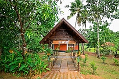 Nellu - Tranquil Pool Villa |Organic Farmstay | Near Varkala, Varkala