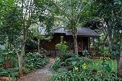 Trisara Boutique Stay, Mysore, Mysore