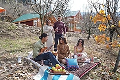 Flustern Kasol, Tosh