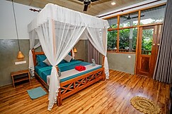 The jungle Hotel Mirissa, Mirissa