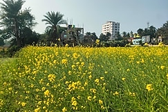 Laxmi Narasimha hotel, Mayapur