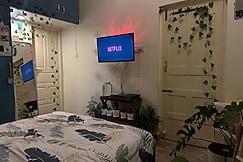 Green Haven   Minutes from Metro Station, Bangalore