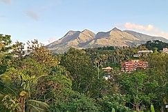 Massresidency , Wayanad