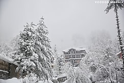 North Star Manali, Manali