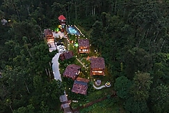Wood Panda Luxury Resort, Wayanad
