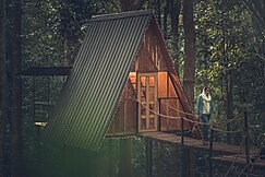 Wildvibes Wayanad, Panthalur