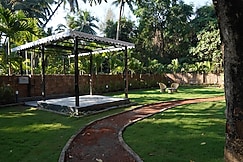 Saltwater Sanctury, Diveagar