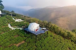 Bemyguezt Pendora Glamps, Vagamon