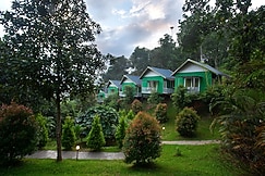 The Arbour Resort, Munnar, Munnar